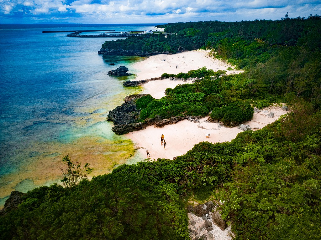 【島まるごとごちそう】「日本で最も美しい村」でデイキャンプ！野草調理体験や多良間島の食材を使ったBBQを堪能できる2泊3日！ 島あっちぃ